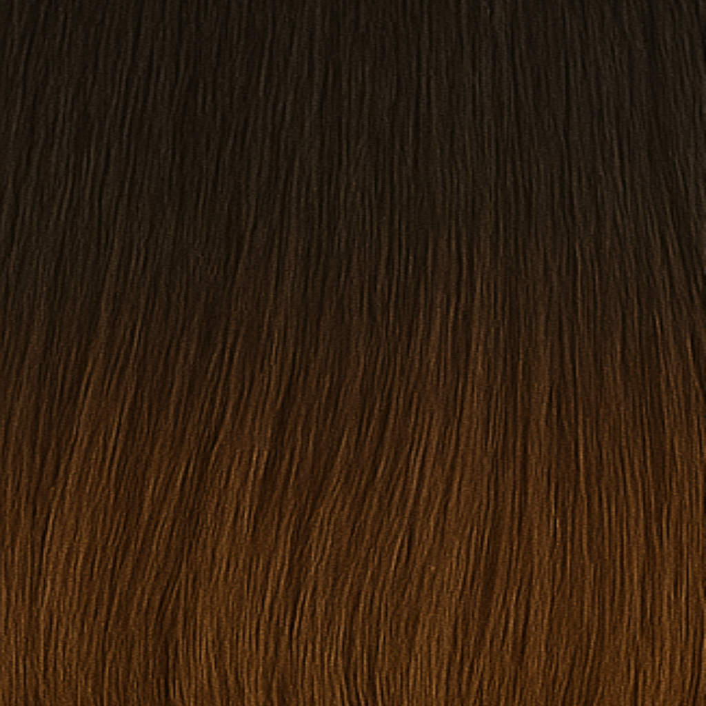 Riche Brown Balayage T5